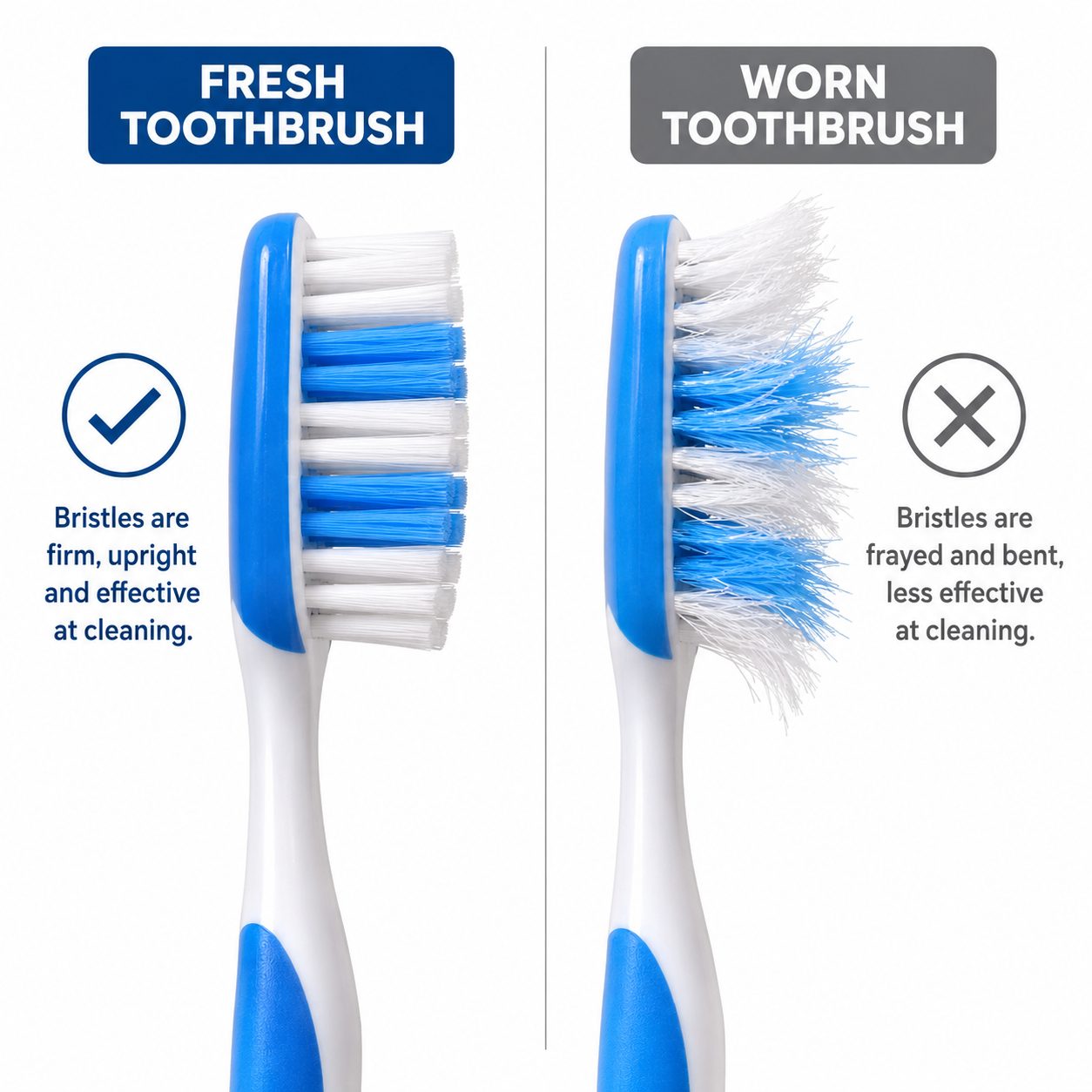 When to change your toothbrush shown by dentist at The White Dental Practice, your 'dental clinic near me', in Mankapur Nagpur
